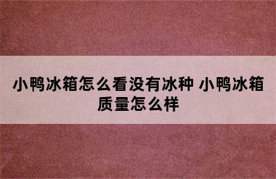 小鸭冰箱怎么看没有冰种 小鸭冰箱质量怎么样